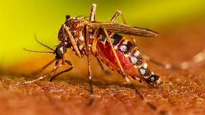 Centre rushes High Level team to Uttar Pradesh to assess and manage Dengue situation in Firozabad, Agra and Etawah districts