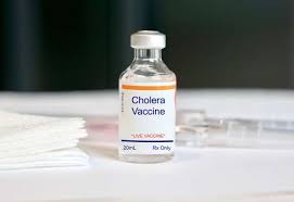 Shortage of cholera vaccines leads to temporary suspension of two-dose strategy, as cases rise worldwide