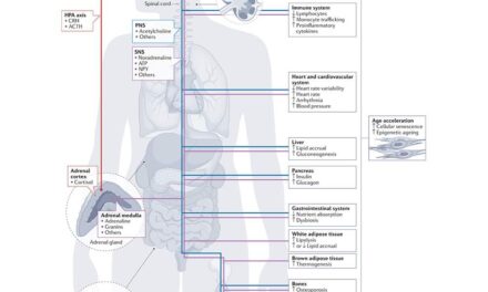 Pathophysiological mechanisms underlying the association between stress and metabolic disease.