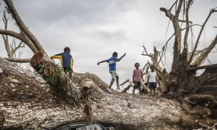 UNICEF launches new child-focused climate initiative to head off disasters