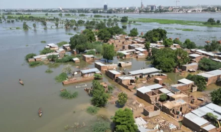 Large parts of world drier than normal in 2021: WMO