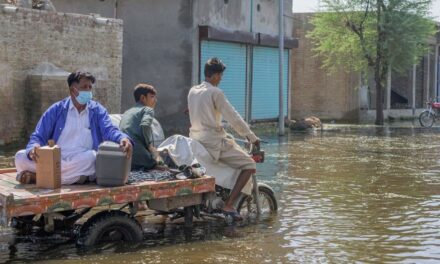 Public health risks increasing in flood-affected Pakistan, warns WHO