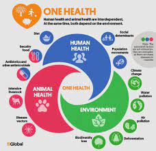 Experts Emphasize Government’s ‘One Health’ Approach in Disease Prevention Ahead of World Health Day