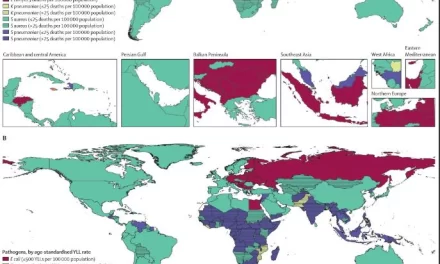 Global mortality associated with 33 bacterial pathogens in 2019: a systematic analysis for the Global Burden of Disease Study 2019