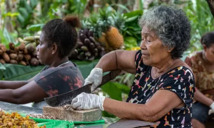 Small island States to accelerate action on preventable diseases, mental health