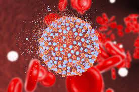 Groundbreaking Study Links Hepatitis B and C Viruses to Multiple Myeloma, Paving the Way for New Treatment Approaches