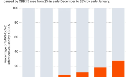 Coronavirus variant XBB.1.5 rises in the United States — is it a global threat?