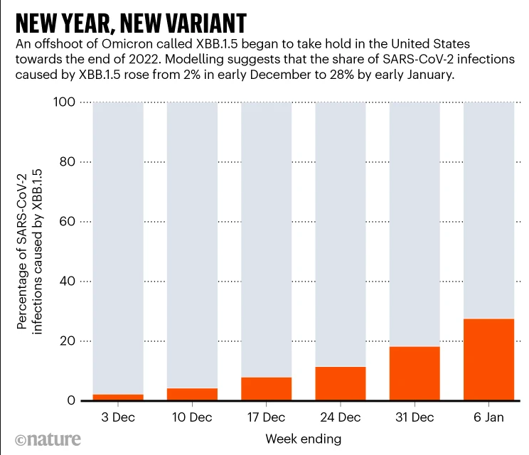 Coronavirus variant XBB.1.5 rises in the United States — is it a global threat?