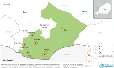 Meningitis – Niger