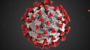 WHO Grants Emergency Use Authorization for India’s Corbevax COVID-19 Vaccine