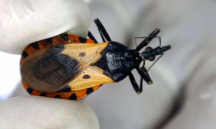 Call for Coordinated Action on Chagas Disease in Switzerland