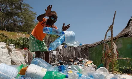 ‘Toxic tidal wave’ of plastic pollution putting human rights at risk