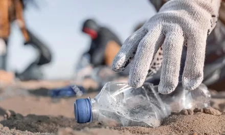 Microplastics in Oceans May Increase Disability Risk for Coastal Residents