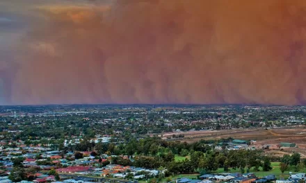 UN issues global alert to combat severe sand and dust storms