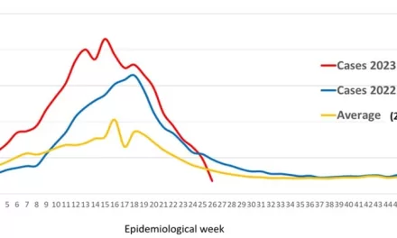 Dengue – the Region of the Americas