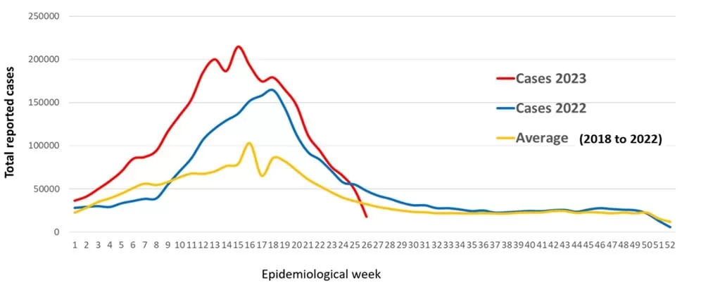 Dengue – the Region of the Americas