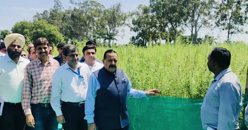 Jammu to pioneer India’s first Cannabis Medicine Project