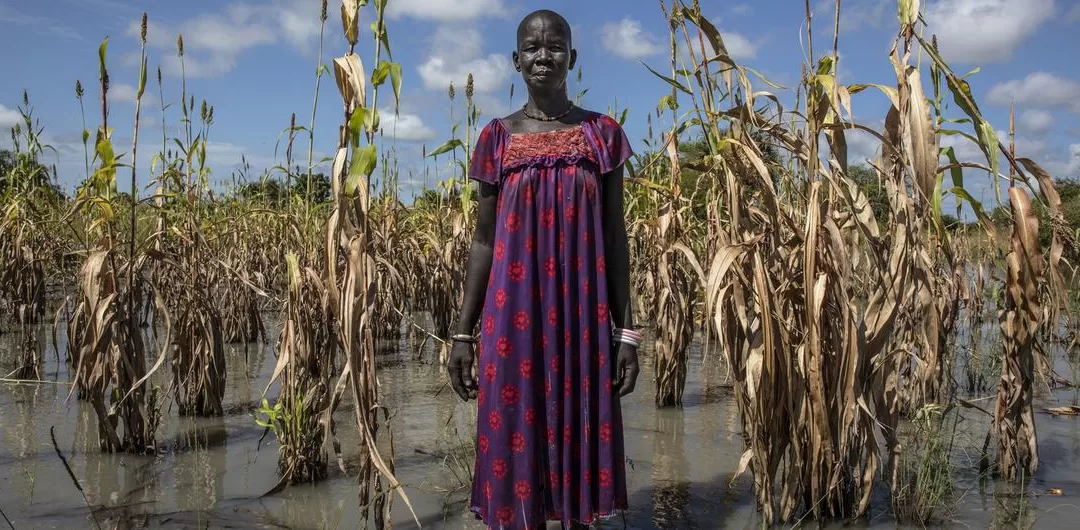 Global Hunger Falls for Third Straight Year, But Regional Disparities Threaten Public Health Gains