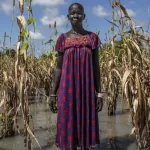 Global Hunger Falls for Third Straight Year, But Regional Disparities Threaten Public Health Gains