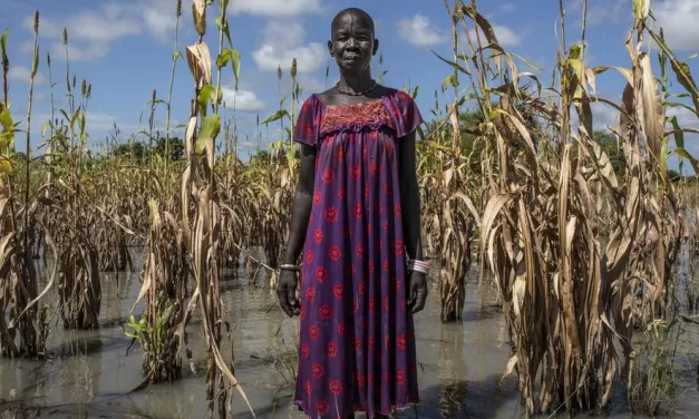 Global Hunger Falls for Third Straight Year, But Regional Disparities Threaten Public Health Gains