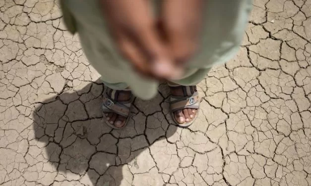 El Niño 2026–27 Could Raise Disease, Heat, and Mental-Health Risks Across the Americas, PAHO Warns
