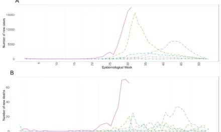 Dengue – Bangladesh