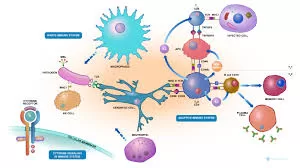 Study: T-cells infiltrate the brain, leading to breathing difficulties in individuals with weakened immune systems