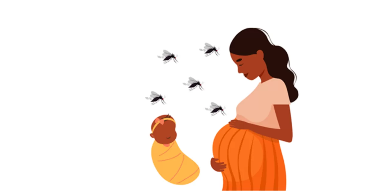 Zika Virus Cases Rise in Pune: Pregnant Woman Among New Infections