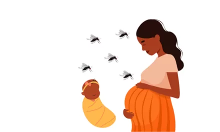 Zika Virus Cases Rise in Pune: Pregnant Woman Among New Infections