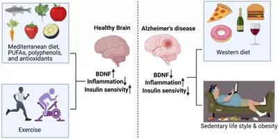 A study has found that leading a sedentary lifestyle is associated with an increased risk of Alzheimer’s disease and dementia