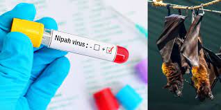 Suspected Nipah Virus Death in Malappuram Under Investigation