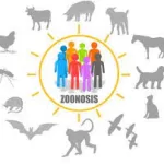 India Launches National E-Learning Package to Boost Surveillance and Response for 10 Priority Zoonoses