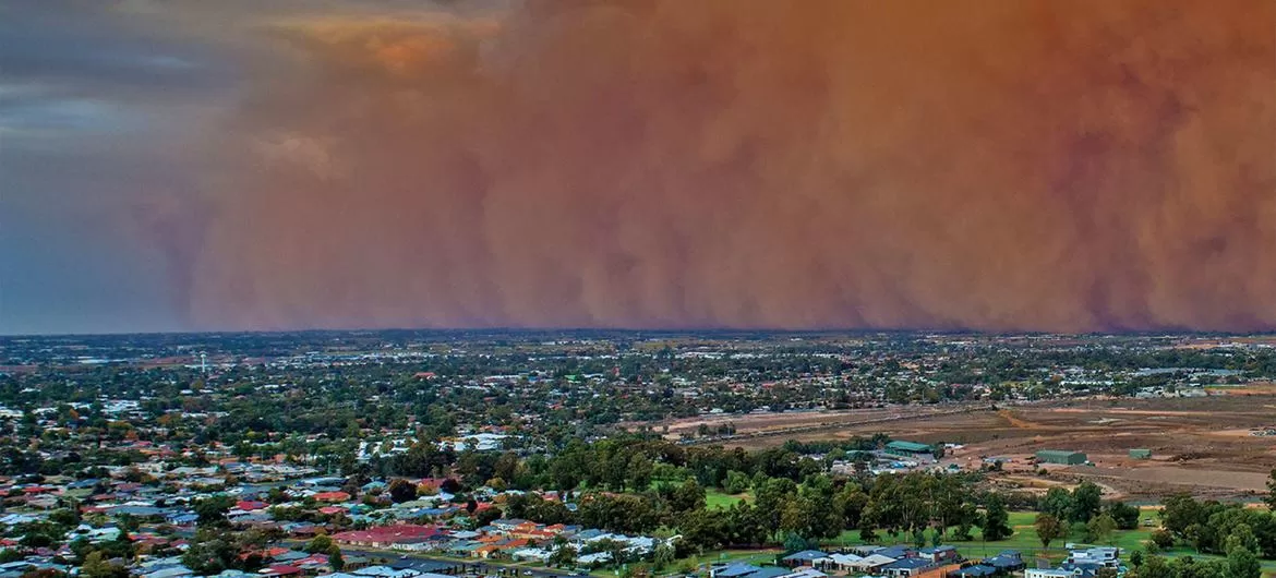 Sandstorm alert, albinism and climate change, rights in Peru