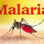 Disease Outbreak News Malaria – Ethiopia