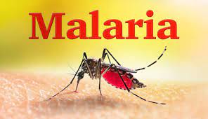 Certain types of gut bacteria increase the likelihood of severe malaria: Study