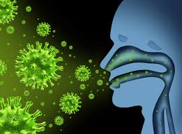 Influenza A(H1N2) variant virus infection Outbreak – United Kingdom of Great Britain and Northern Ireland