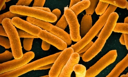 Antibiotic Breakthrough: Novel Compound Targets Drug-Resistant Gram-Negative Bacteria