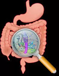 A recent study reveals that gut bacteria plays a protective role against diarrheal disease