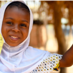 Disease Outbreak News : Yellow fever – Global
