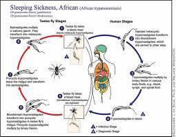 “Europe Extends Recommendations for Schistosoma and Sleeping Sickness Drugs Outside the EU”