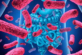 Gut Microbiome Changes May Predict Rheumatoid Arthritis Onset, New Study Finds