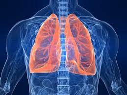 Study Reveals Young Adults’ Lungs More Susceptible to SARS-CoV-2 Than Older Individuals