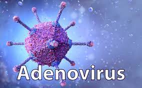 “Adenovirus Variant Warning: Central Body Alerts Bengal Government Regarding Child Health Concerns”