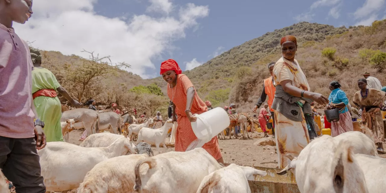 Five African countries report anthrax outbreaks, over 1100 cases recorded