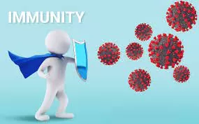 Social Connections May Boost Immunity and Reduce Disease Risk, Study Finds