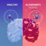 Xenon Gas Shows Promise in Alzheimer’s Treatment, Leading to Clinical Trial