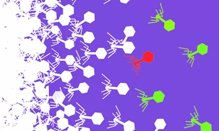 “CRISPR Barcoding Unleashes Potential for Tracking and Harnessing Bacteriophages”