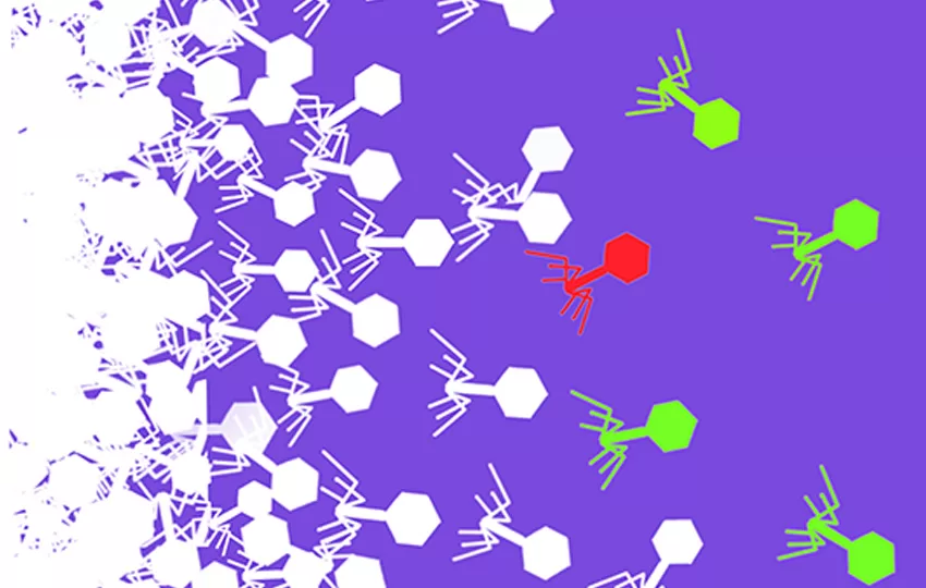 “CRISPR Barcoding Unleashes Potential for Tracking and Harnessing Bacteriophages”