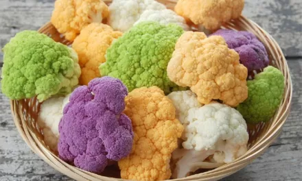 Karnataka Government Bans Carcinogenic Artificial Colors in Gobi Manchurian and Cotton Candies