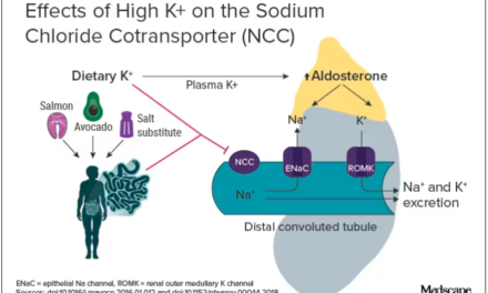 “Sodium vs. Potassium: Dueling Perspectives on Blood Pressure Control”